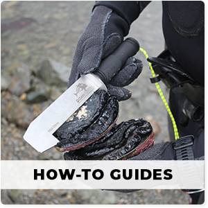 how-to-guides-img